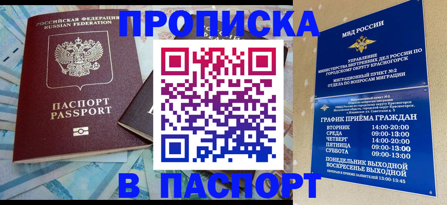 найти адрес прописки в Шебекино